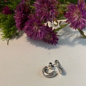 Elegant Silver Hoop Earrings